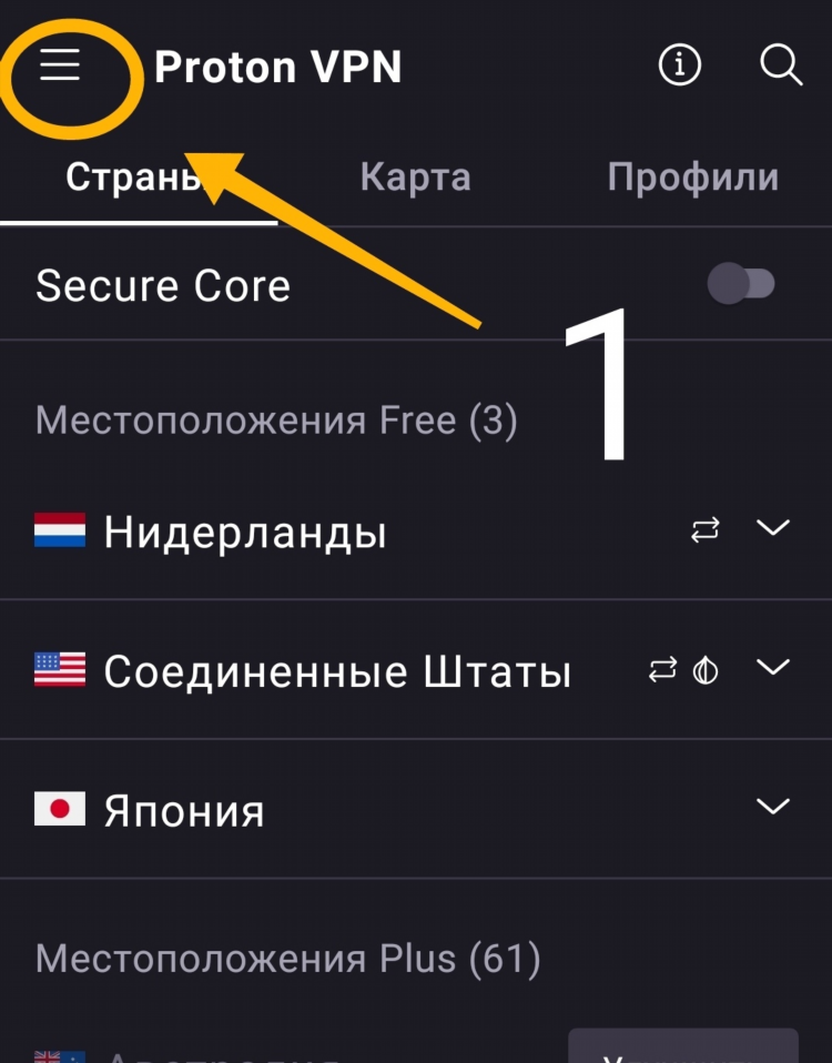 Как установить proton vpn